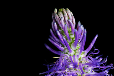 Similar image 8175289