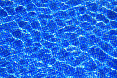 Similar image 8175347