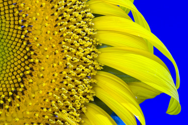 Similar image 8175350