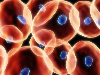 Similar image 8175392