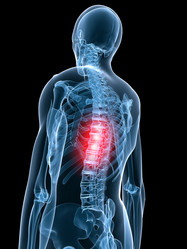 Similar image 8175436