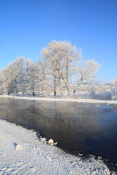 Similar image 8175447