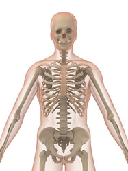 Similar image 8175458