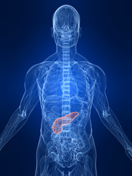 Similar image 8175459