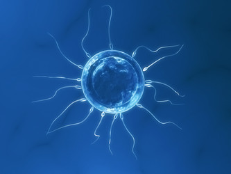 Similar image 8175468