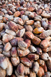 Similar image 8175471