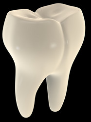 Similar image 8175537