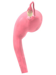 Similar image 8175538