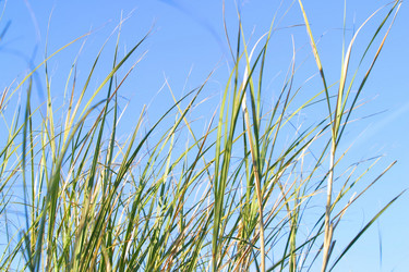 Similar image 8175549