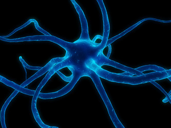 Similar image 8175613