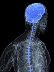 Similar image 8175621