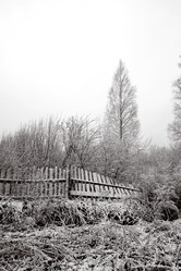 Similar image 8175696