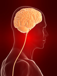 Similar image 8175738