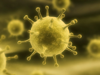 Similar image 8175742