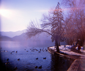 Similar image 8175761