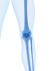 Similar image 8175787