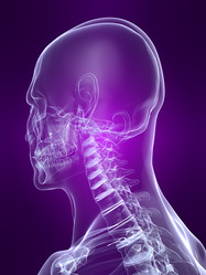 Similar image 8175802