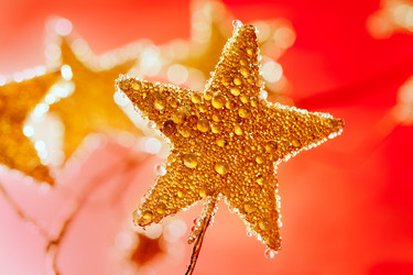 Similar image 8175831