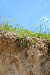 Similar image 8175840