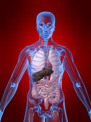 Similar image 8175852