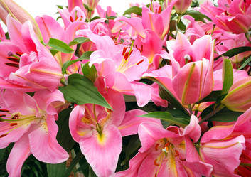 Similar image 8175859