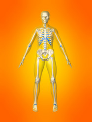 Similar image 8175867