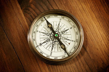 Similar image 8175875