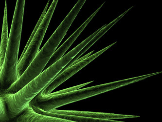 Similar image 8175887