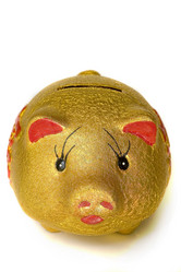 Similar image 8175893