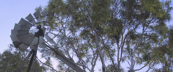 Similar image 8175895