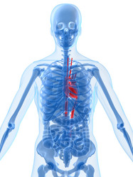 Similar image 8175910