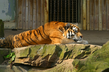 Similar image 8175939