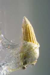 Similar image 8175956