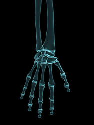 Similar image 8175975