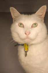 Similar image 8176008