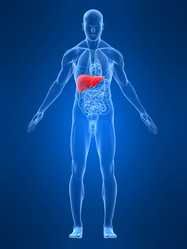 Similar image 8176033