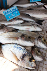 Similar image 8176050