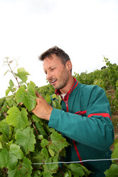 Similar image 8176106