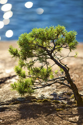 Similar image 8176129