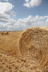 Similar image 8176138