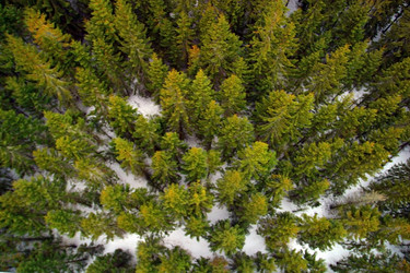 Similar image 8176139