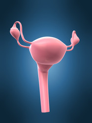 Similar image 8176157