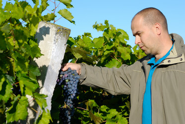 Similar image 8176180