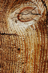 Similar image 8176198