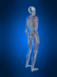 Similar image 8176221