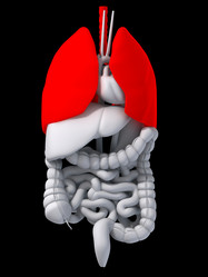 Similar image 8176231