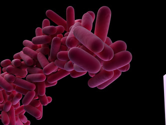 Similar image 8176236