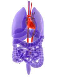 Similar image 8176254