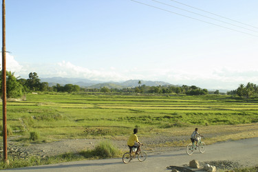 Similar image 8176268