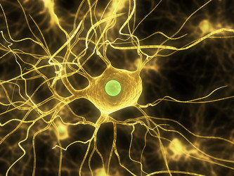 Similar image 8176296